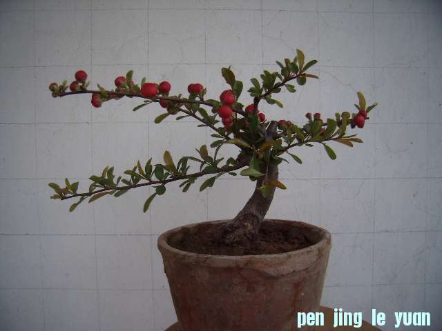 P4090025.JPG