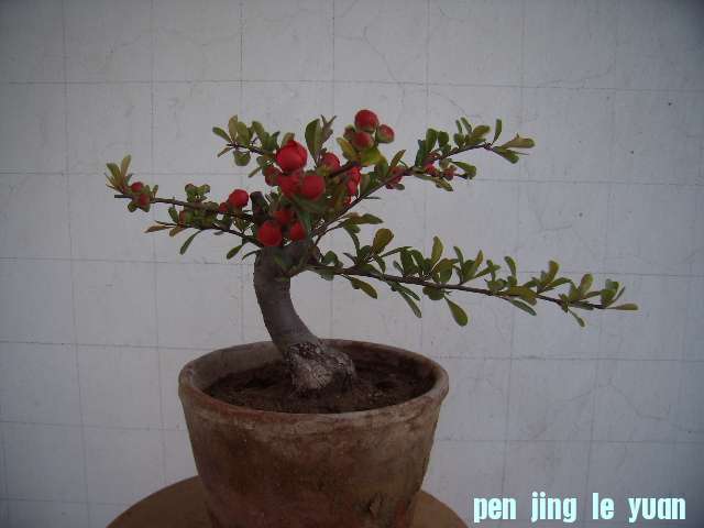 P4090027.JPG