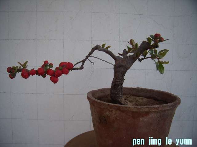 P4090028.JPG