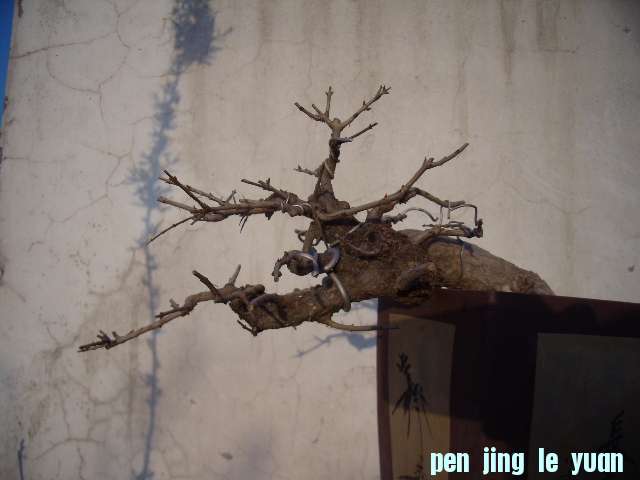 P4060023.JPG
