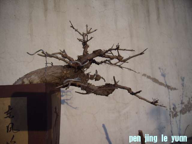 P4060025.JPG