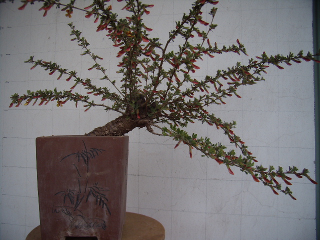 P4090017.JPG