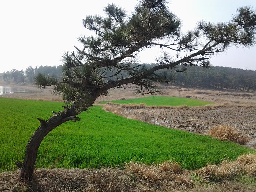 20130328_100154.jpg