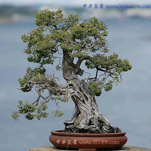 20120818165254.jpg