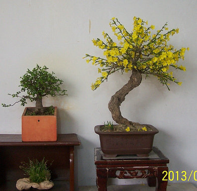 101_0684_.JPG