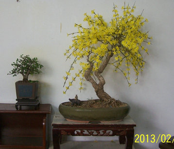 101_0660_.JPG