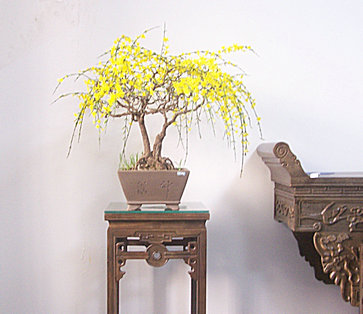 101_0005_1.JPG