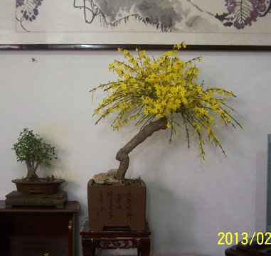 101_0812_.JPG