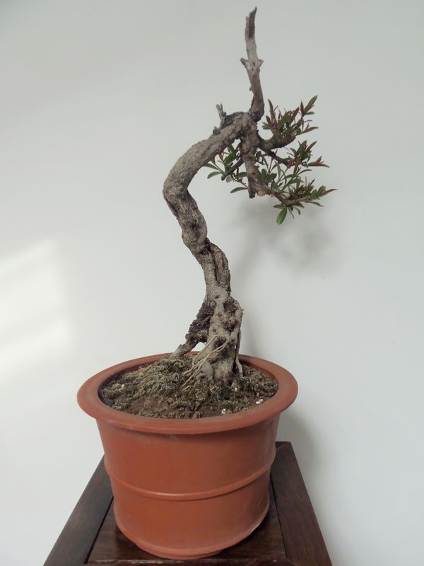 P4130201.JPG