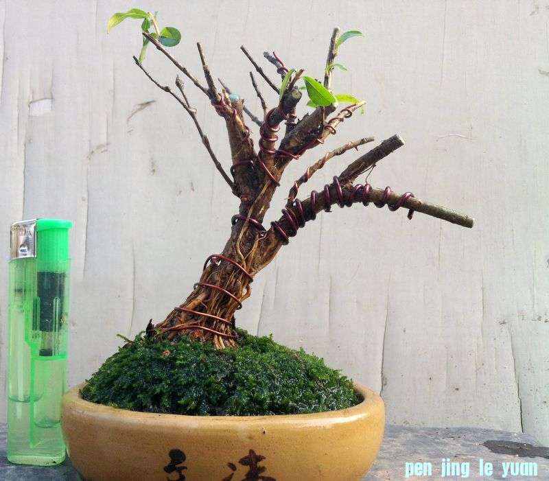 ֻƬ 064.jpg