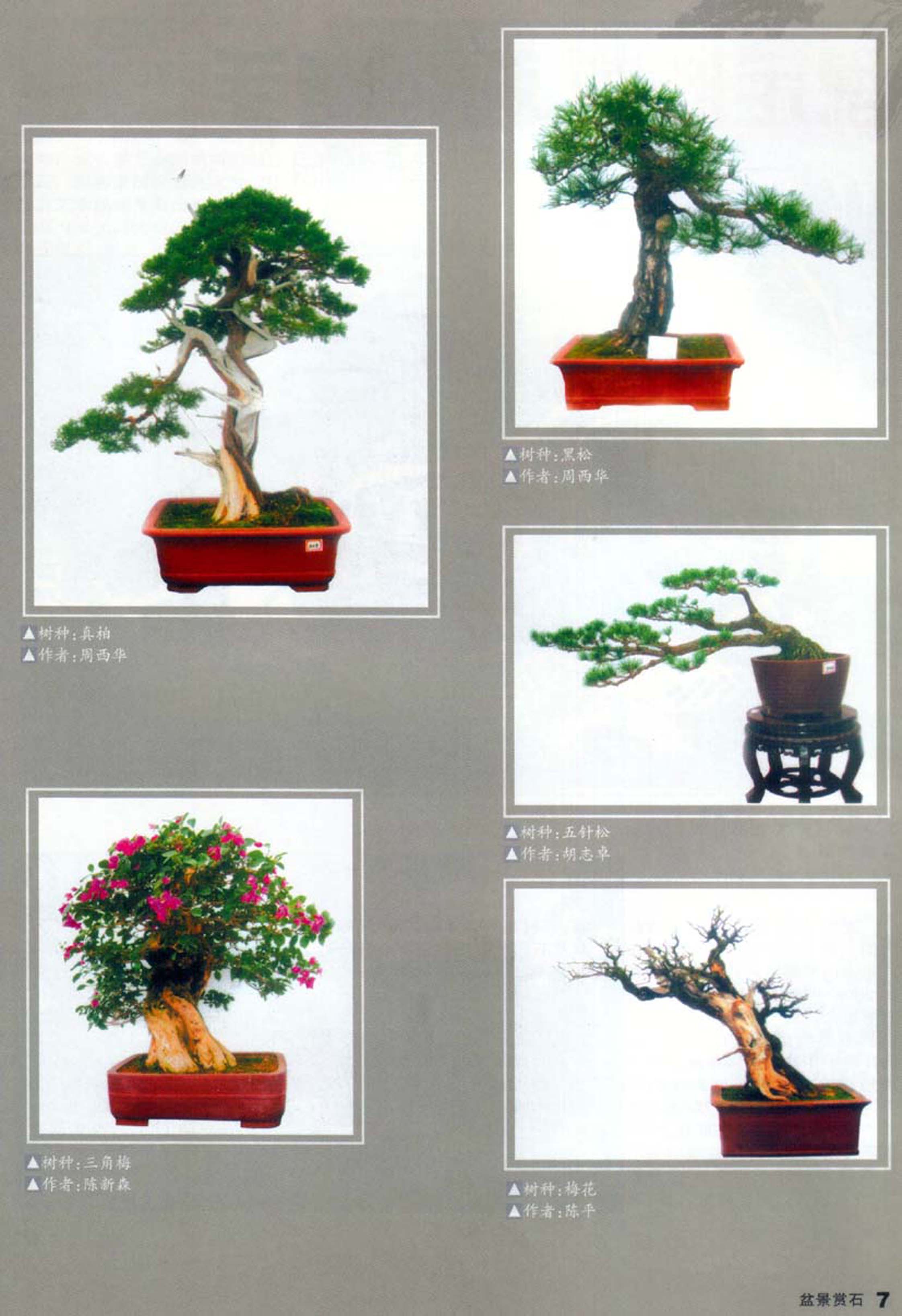 ֹ-辰ũ.jpg
