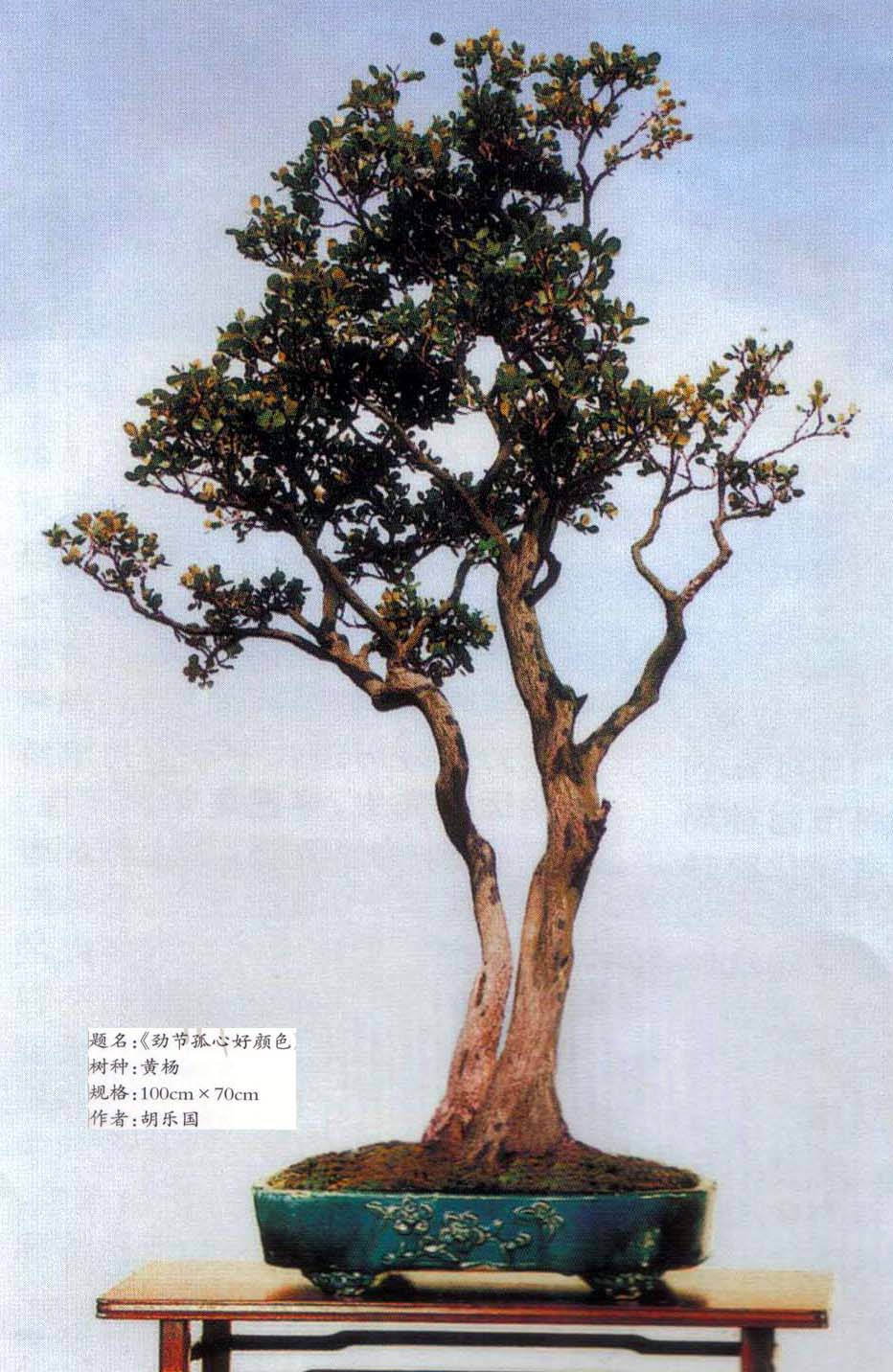 ֹ-.jpg