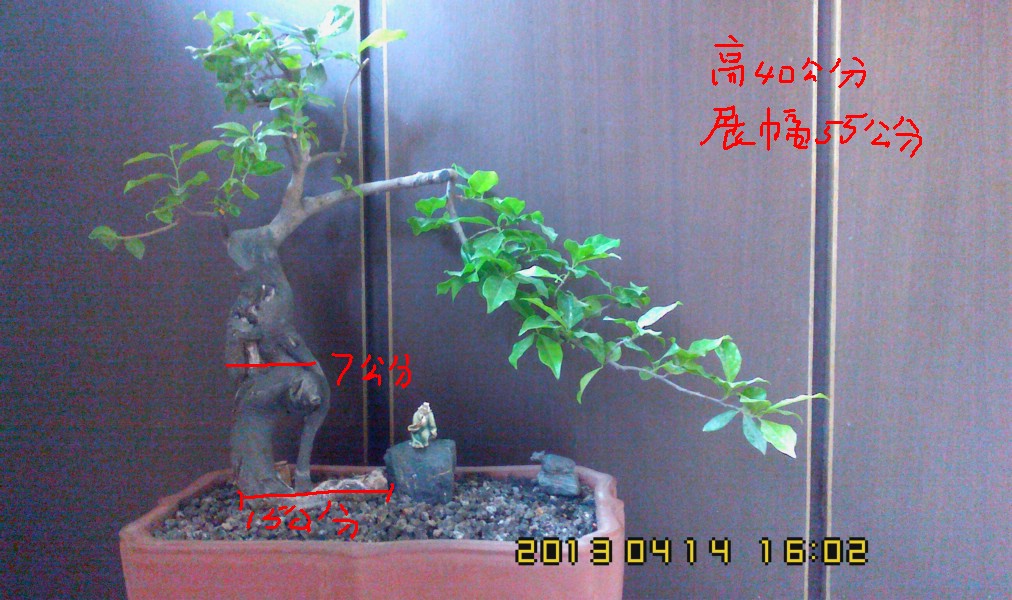 IMG0414160200.jpg