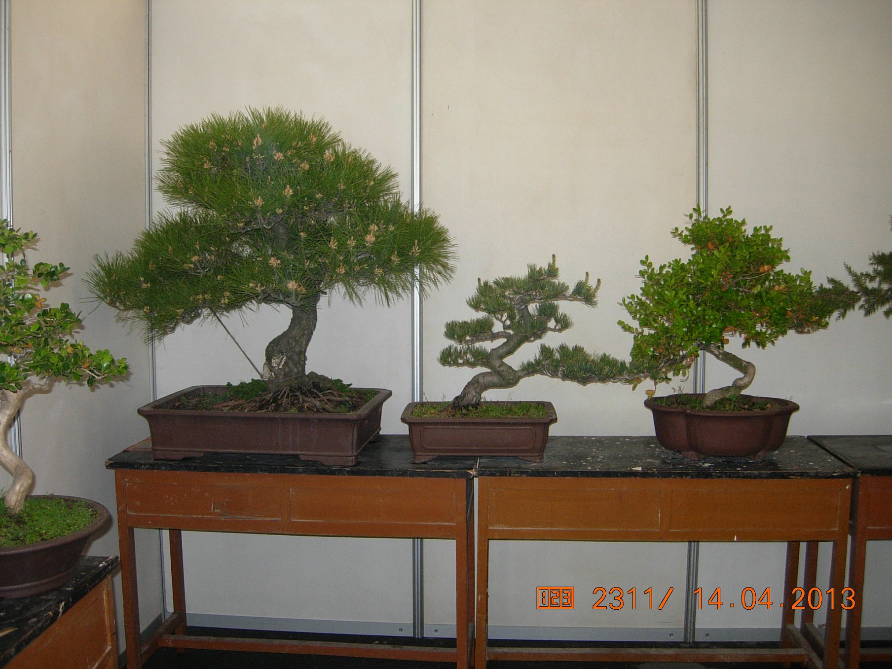DSCN6672.JPG