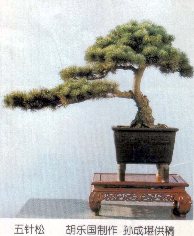 ֹ- (2).jpg
