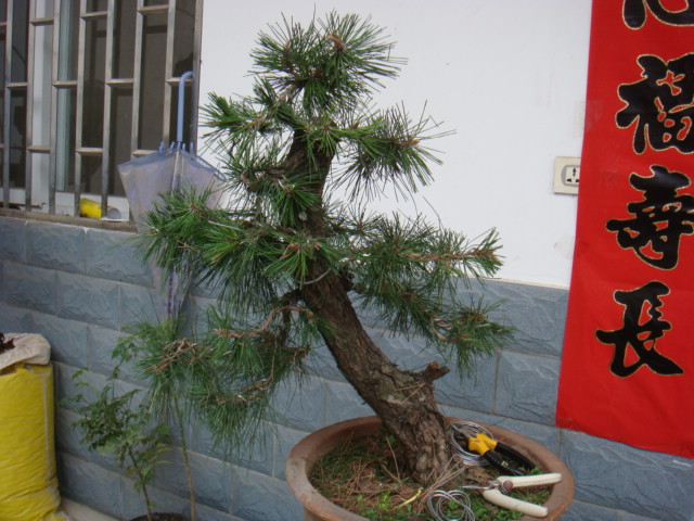 DSC08298.JPG