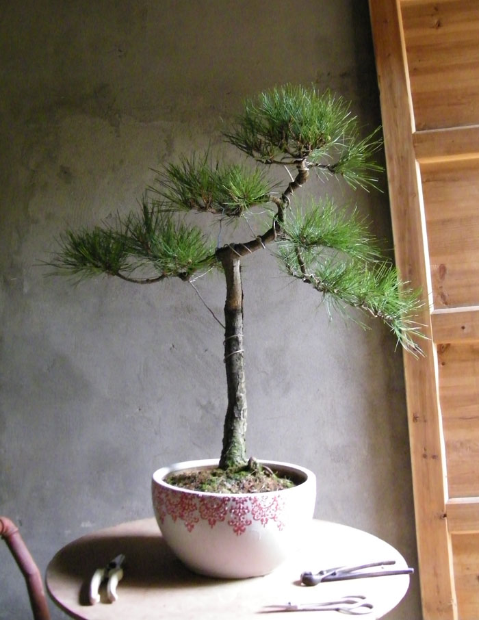 100_2154.jpg