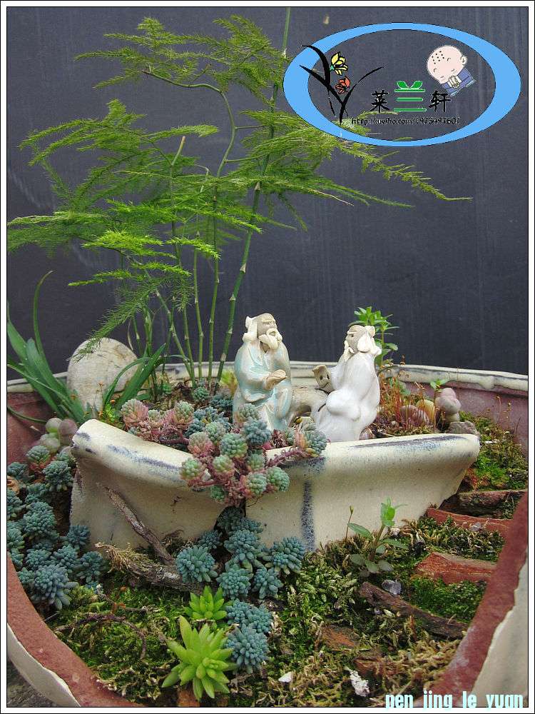  11.jpg