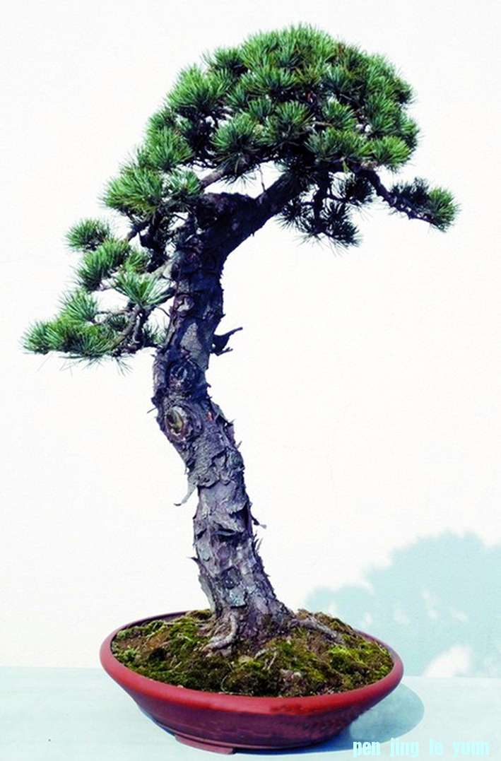 ֹ- (3).jpg