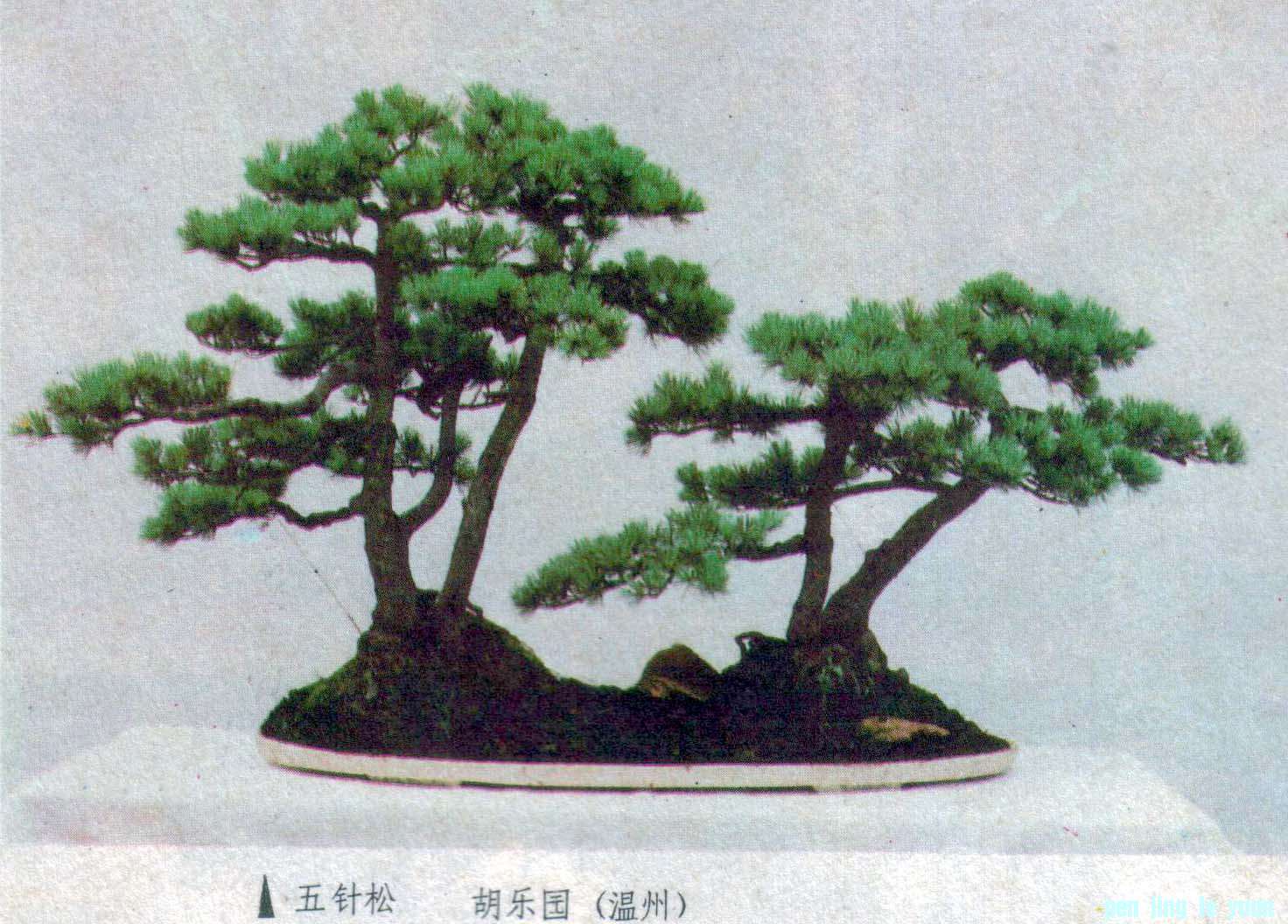 ֹ-ɡľ88-4.jpg
