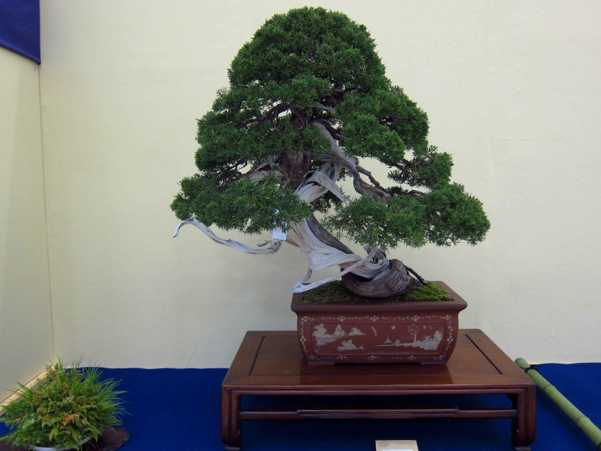 32taikan-ten-17.jpg