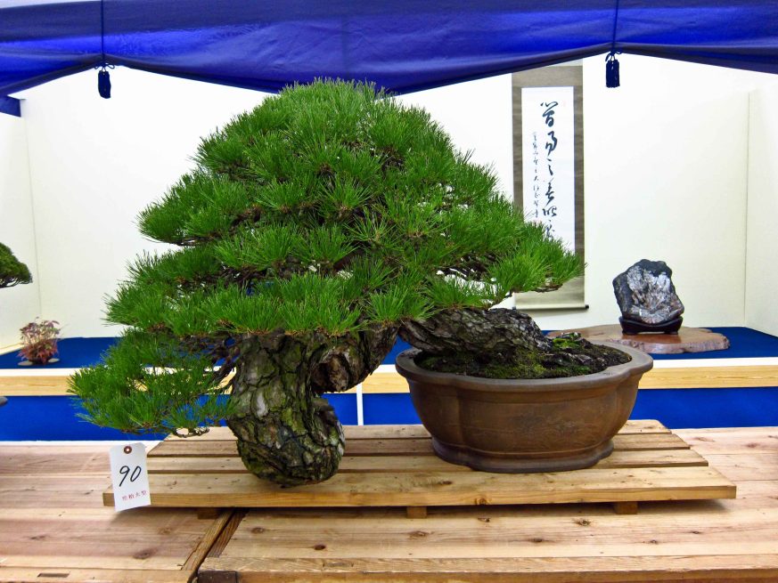 32taikan-ten-21.jpg