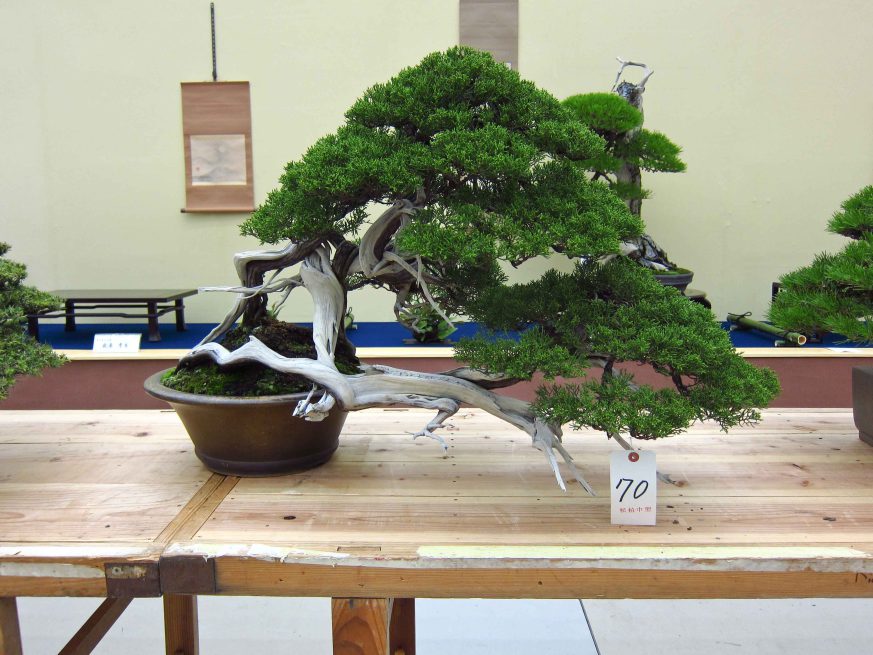 32taikan-ten-30.jpg