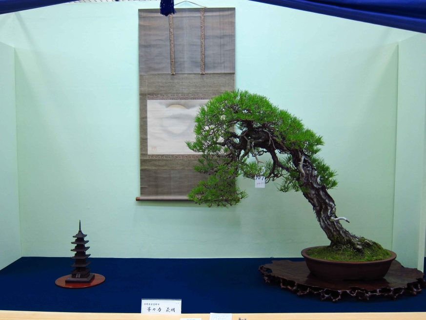 32taikan-ten-52.jpg