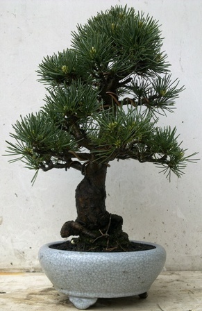 ֱ˴13,4,17.jpg