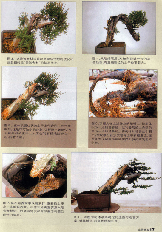 ֹ-庣辰2.jpg