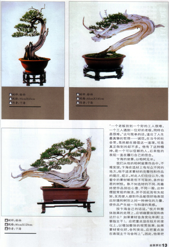 ֹ-庣辰2.jpg