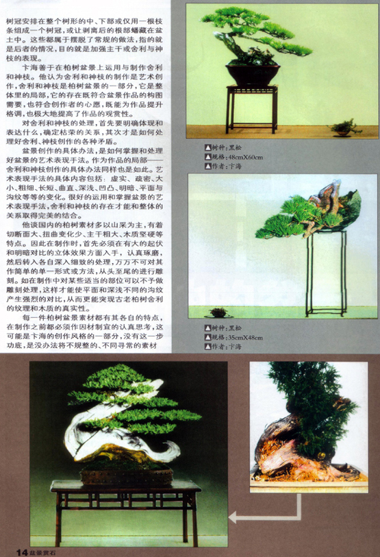 ֹ-庣辰3.jpg