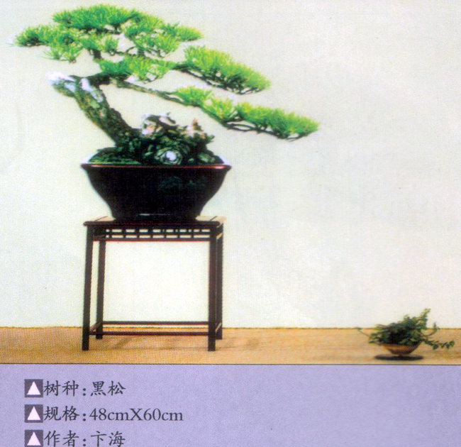 庣-1.jpg