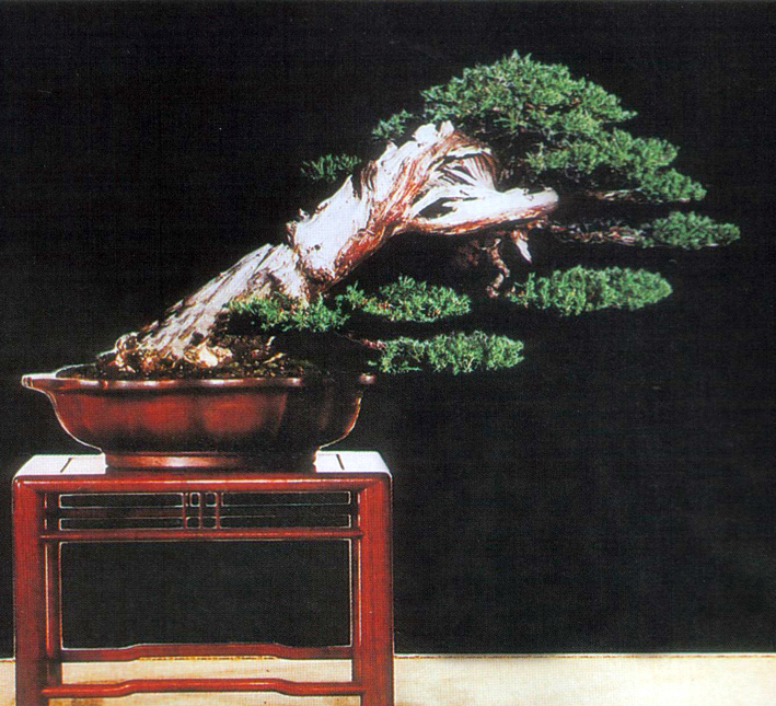 ֹ-庣.jpg