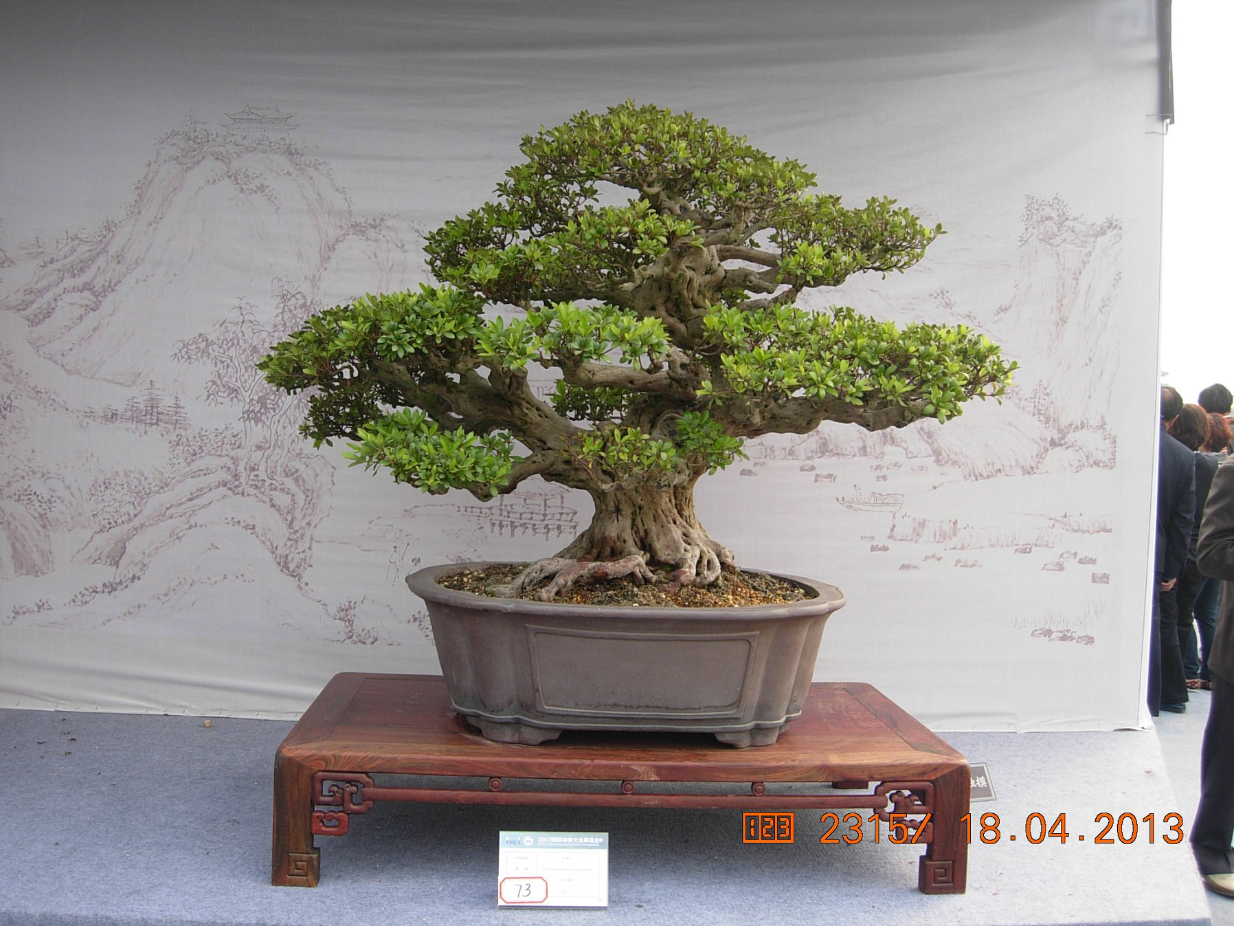 DSCN6683.JPG