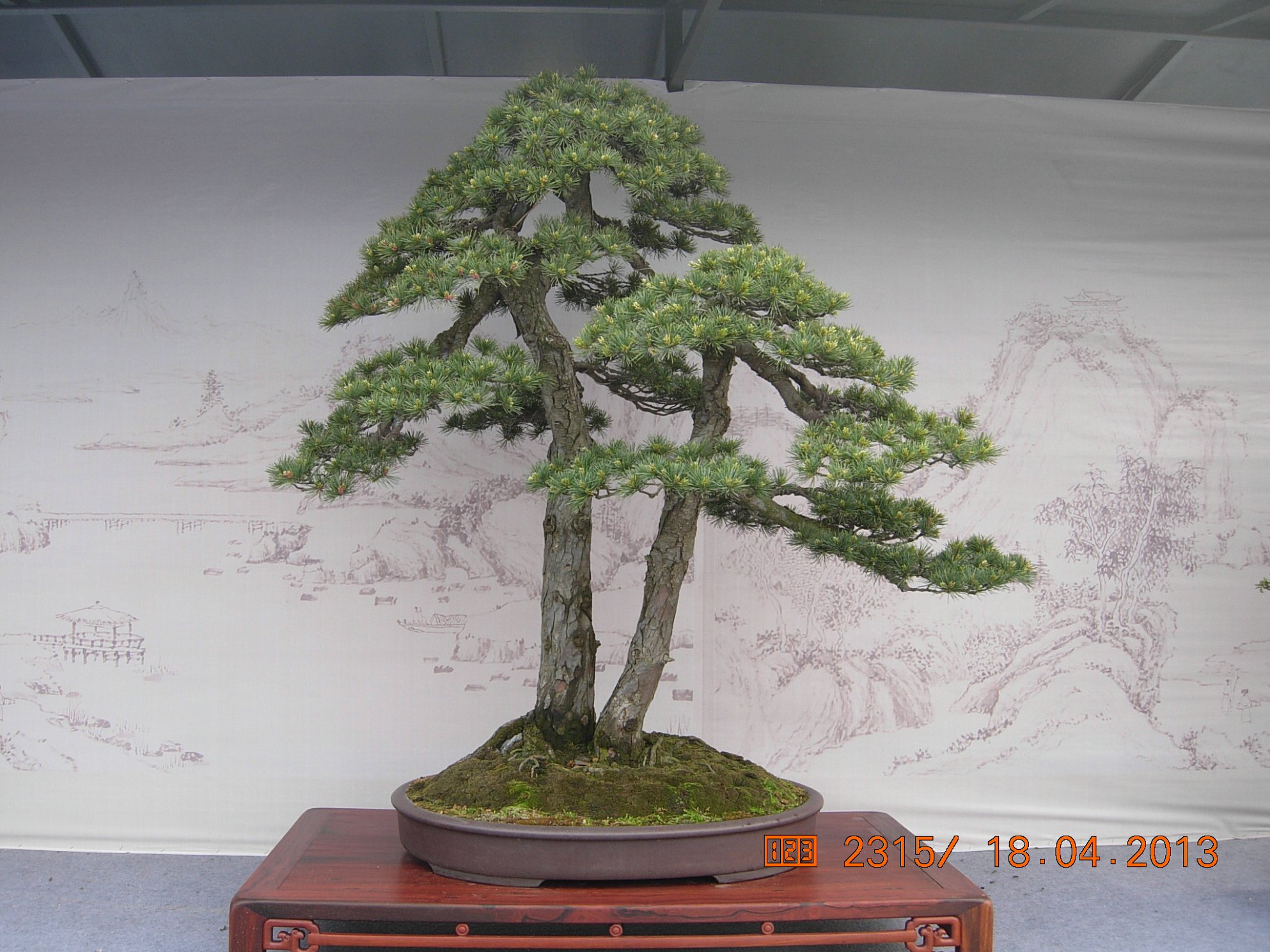 DSCN6684.JPG