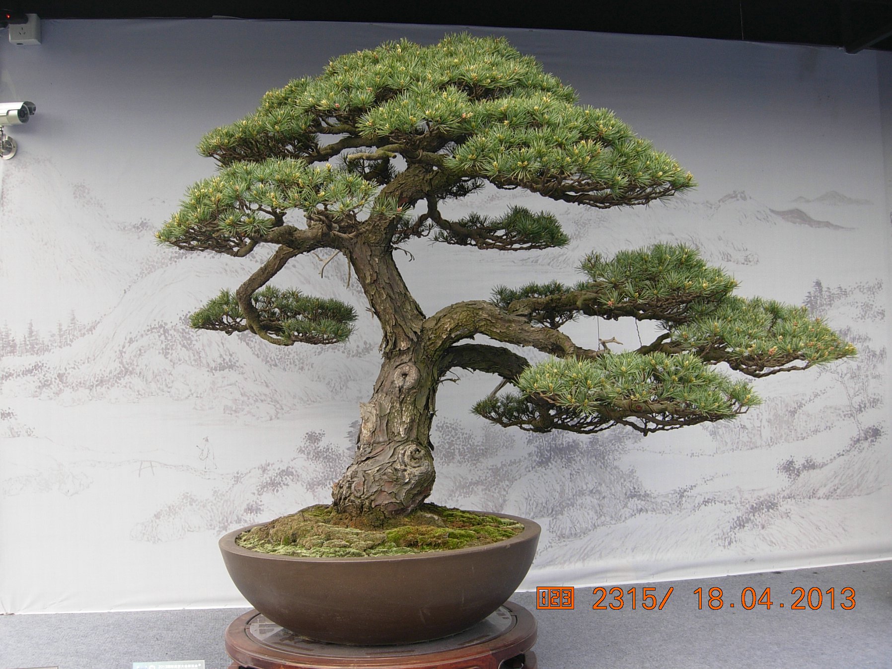 DSCN6685.JPG