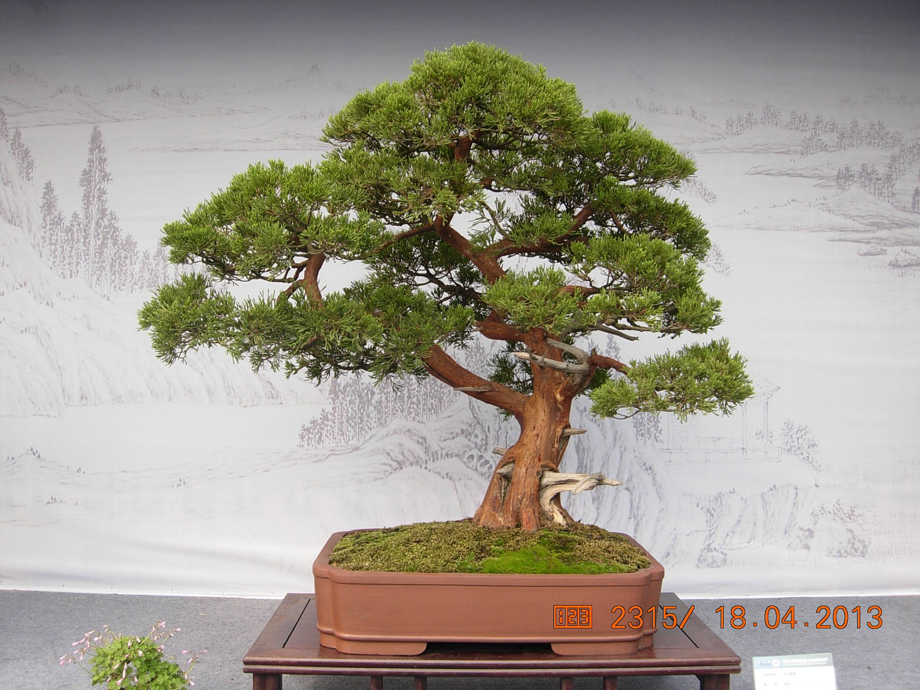 DSCN6686.JPG