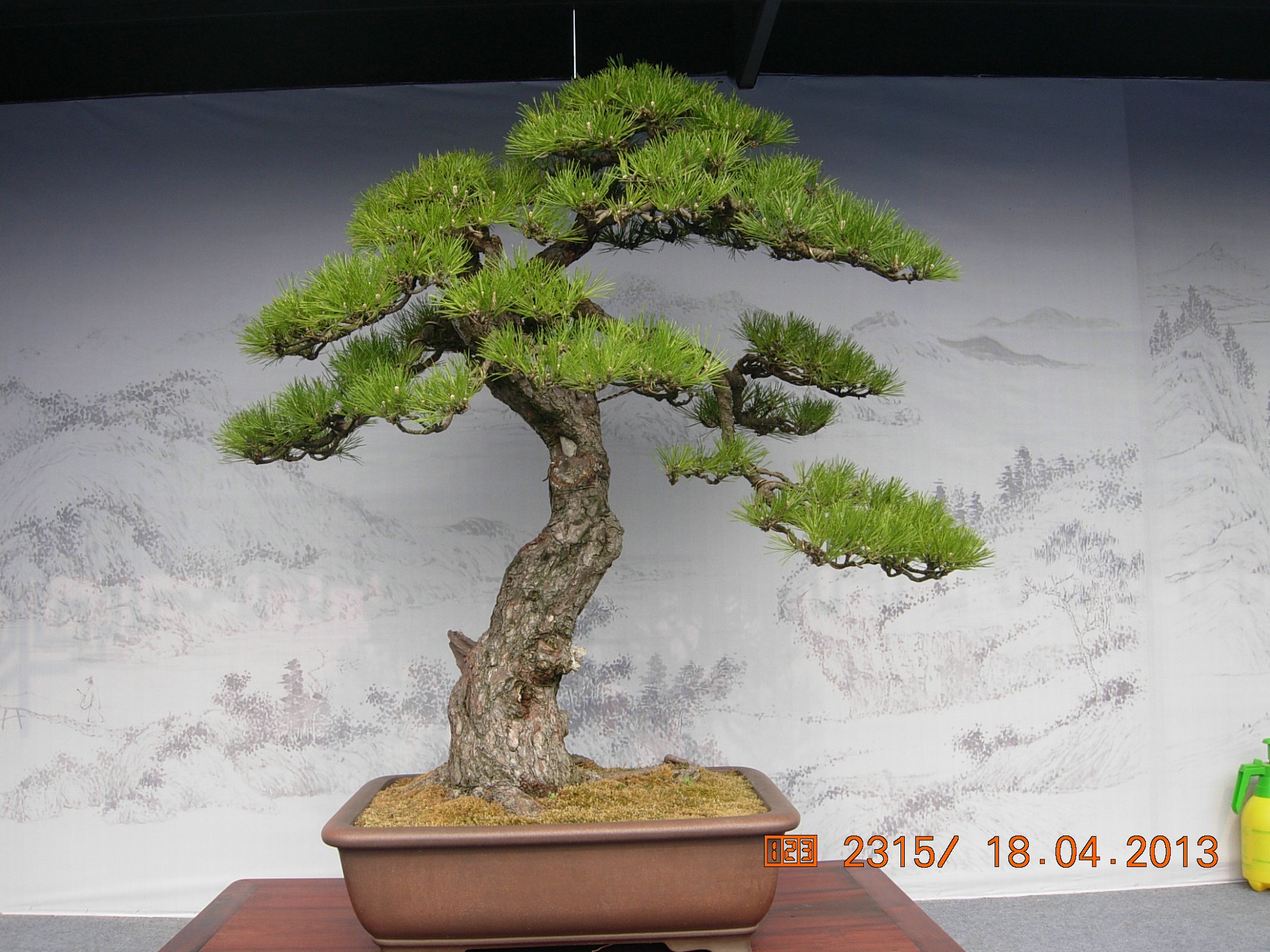 DSCN6687.JPG