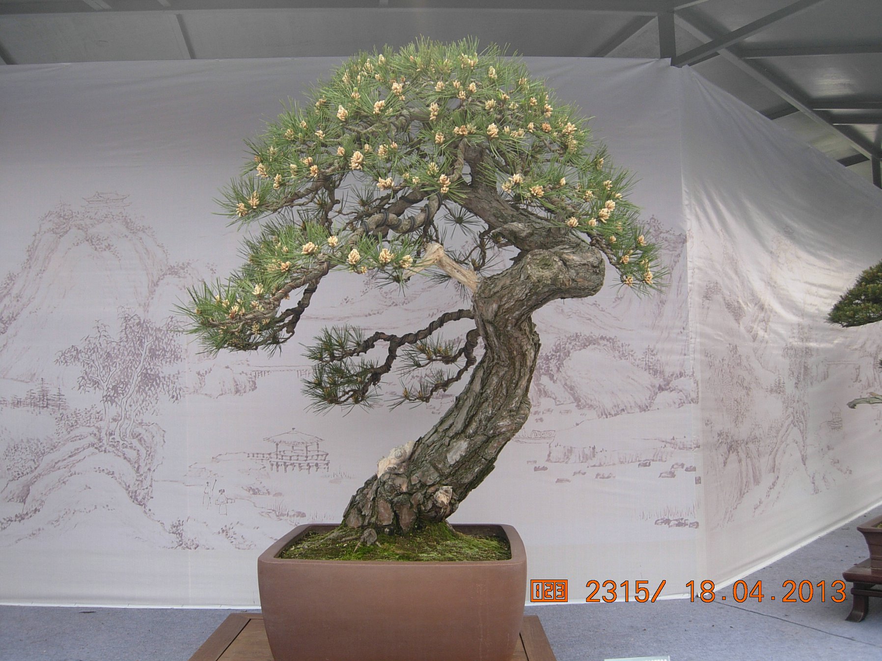 DSCN6688.JPG
