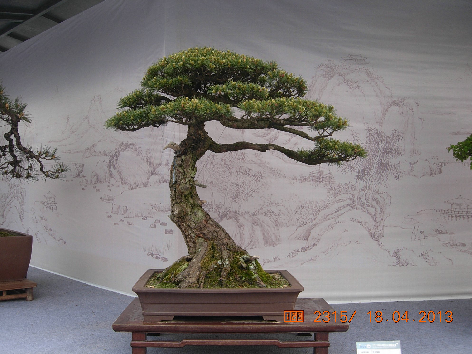 DSCN6689.JPG