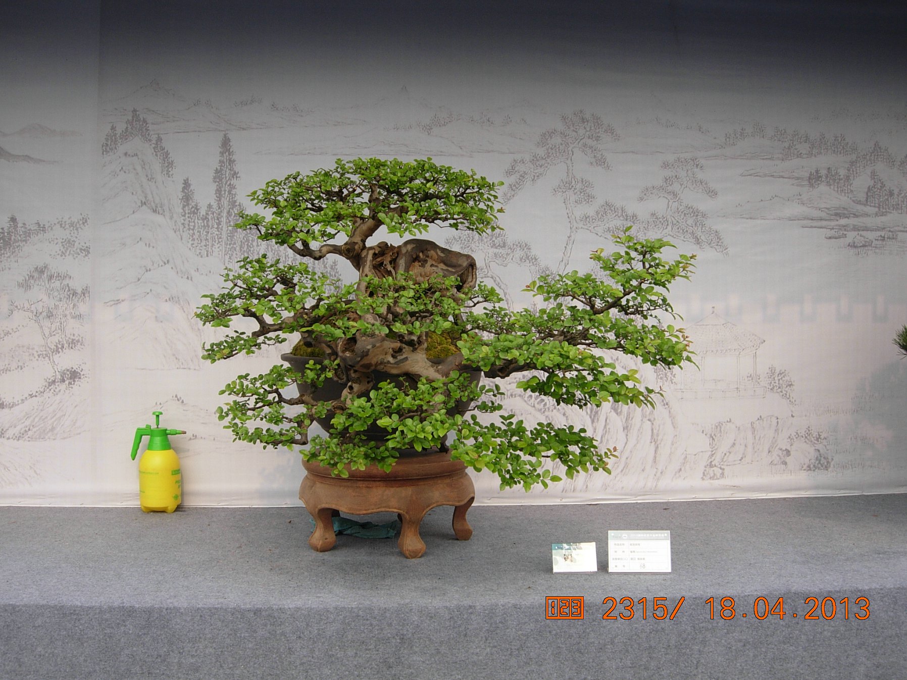 DSCN6690.JPG