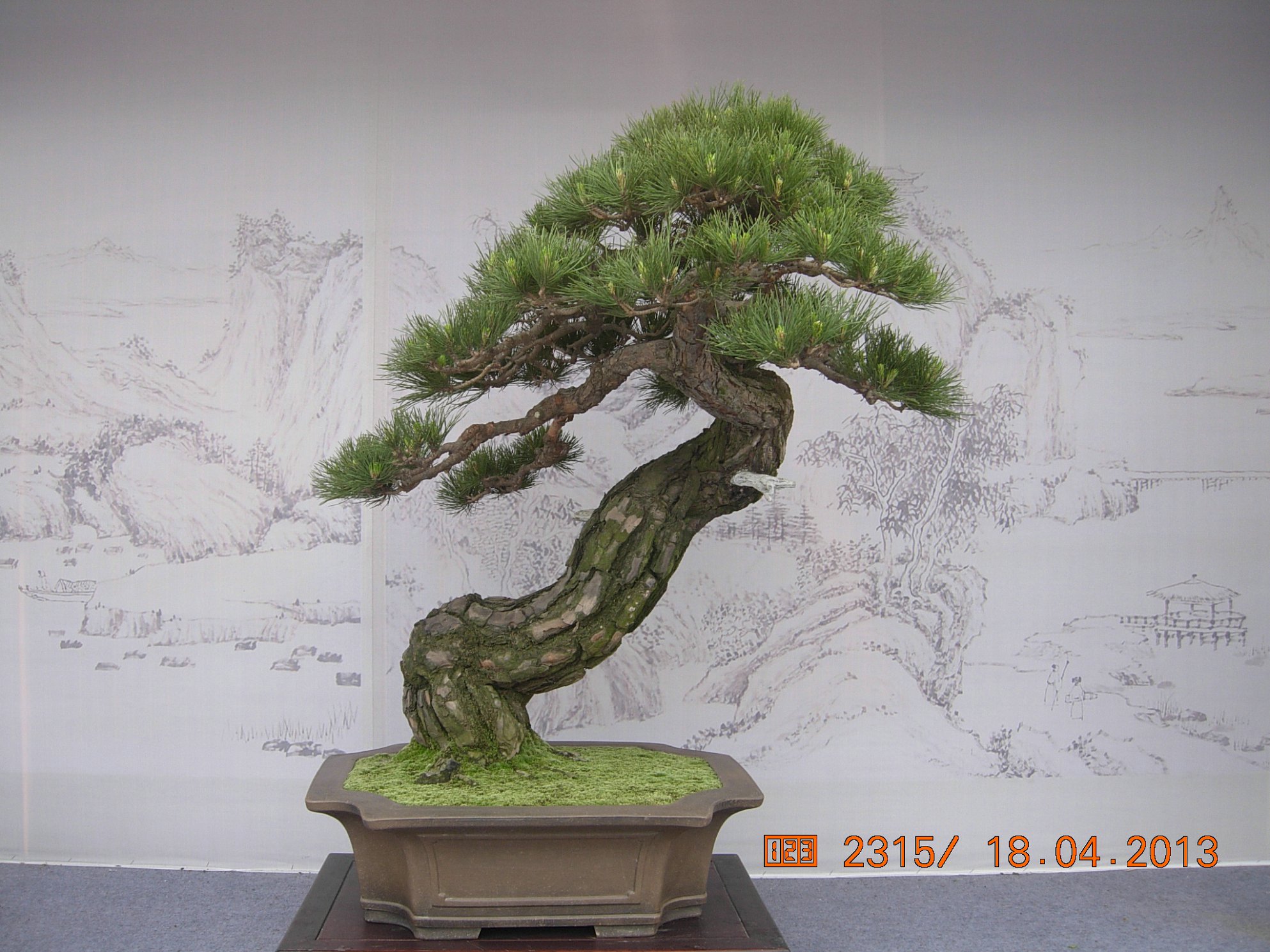 DSCN6692.JPG