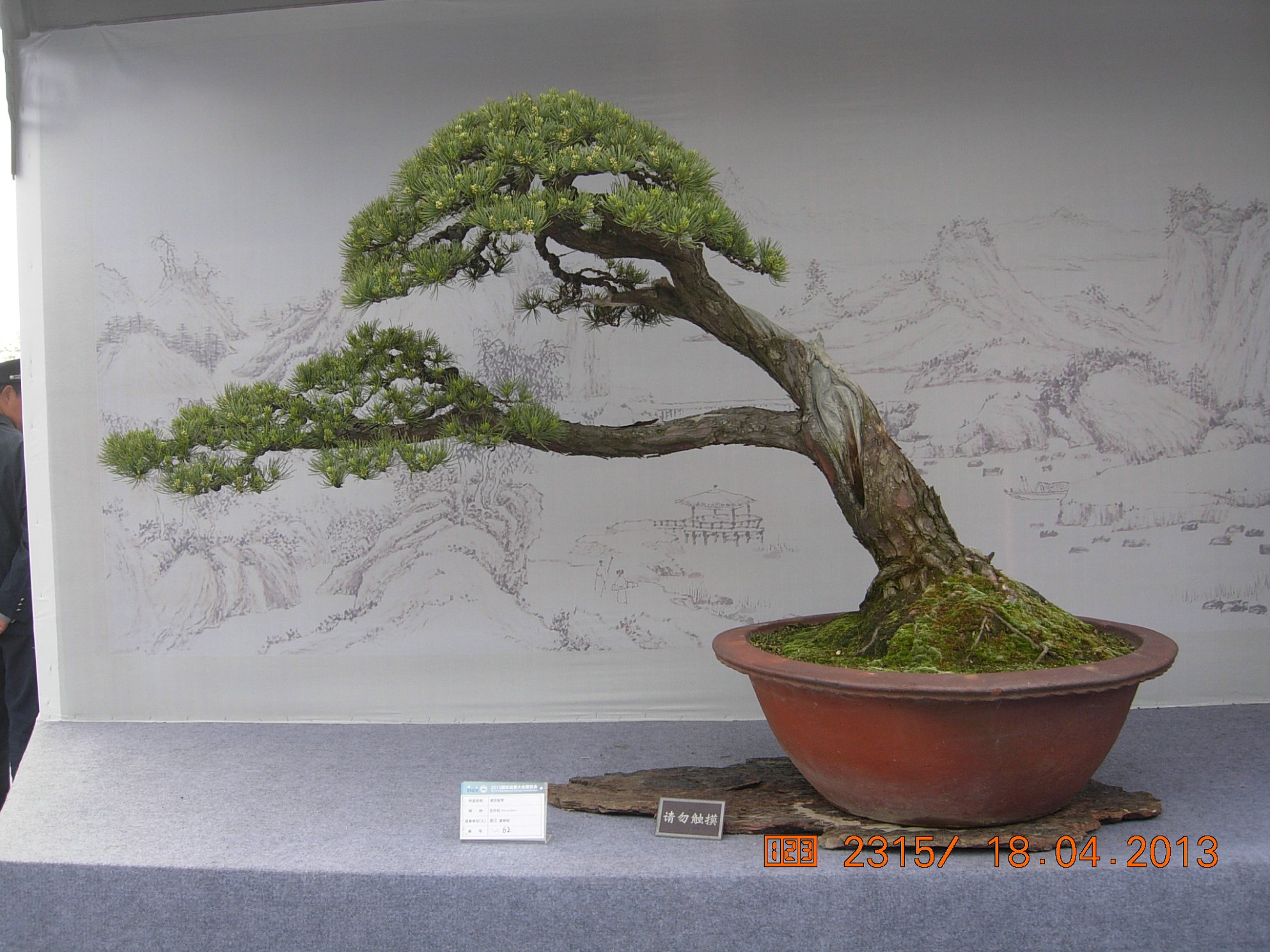 DSCN6693.JPG