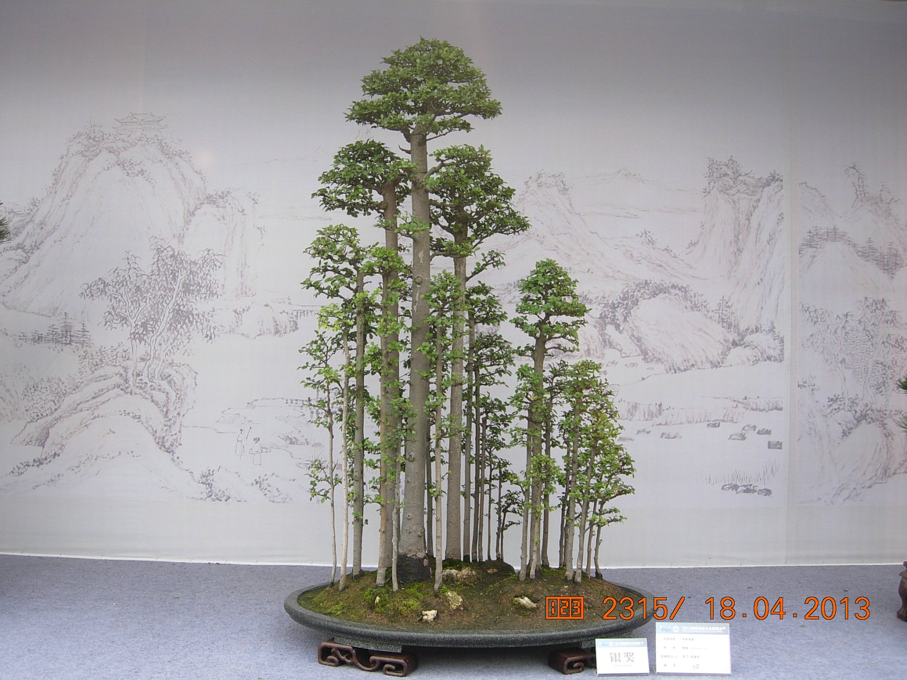DSCN6694.JPG