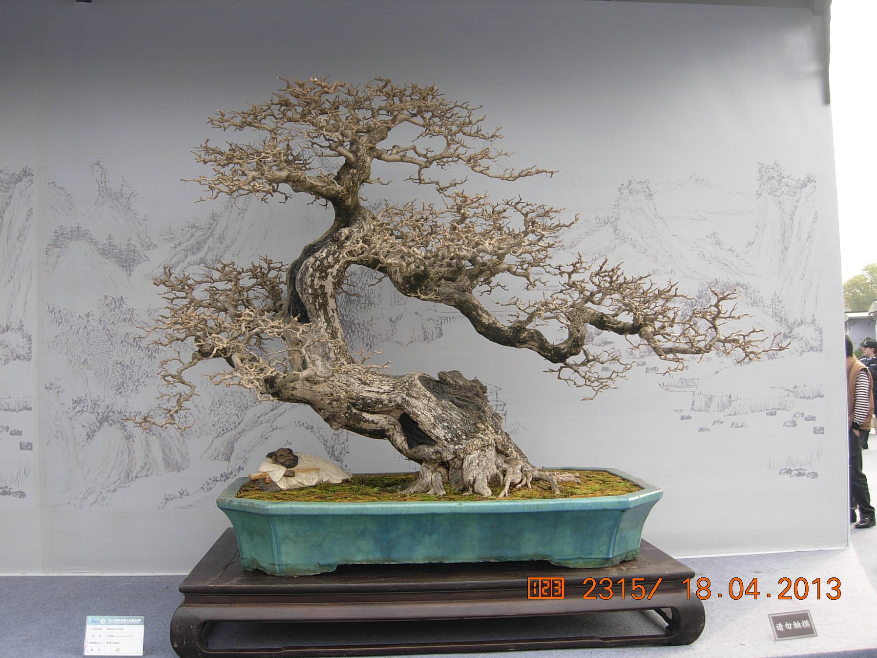 DSCN6695.JPG