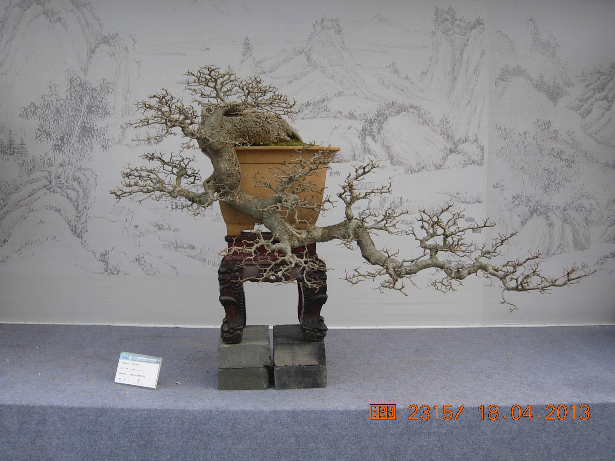 DSCN6696.JPG