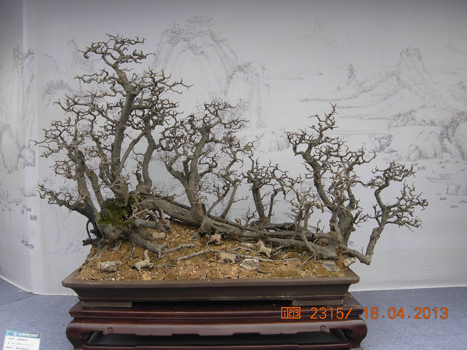 DSCN6697.JPG