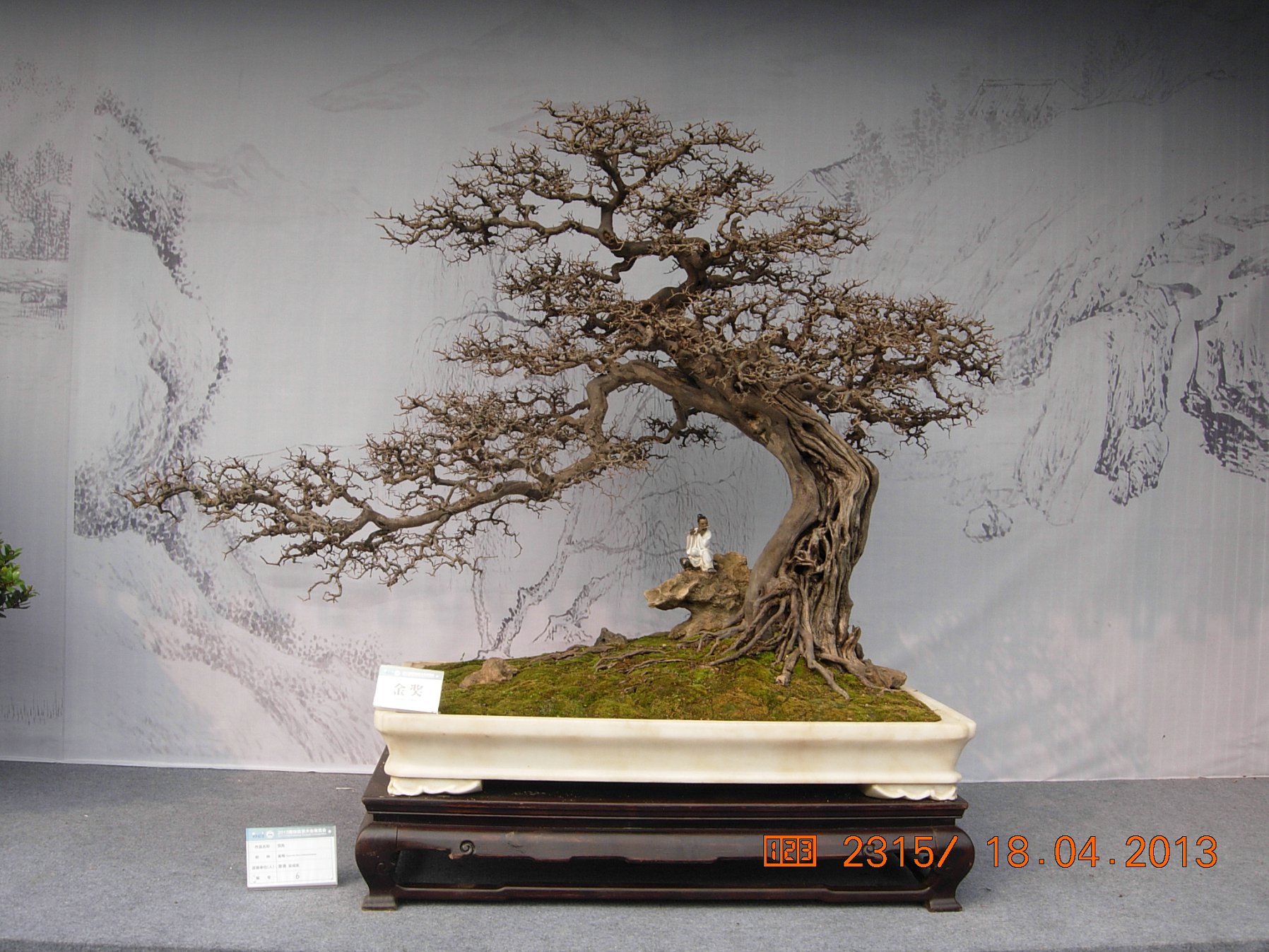 DSCN6698.JPG