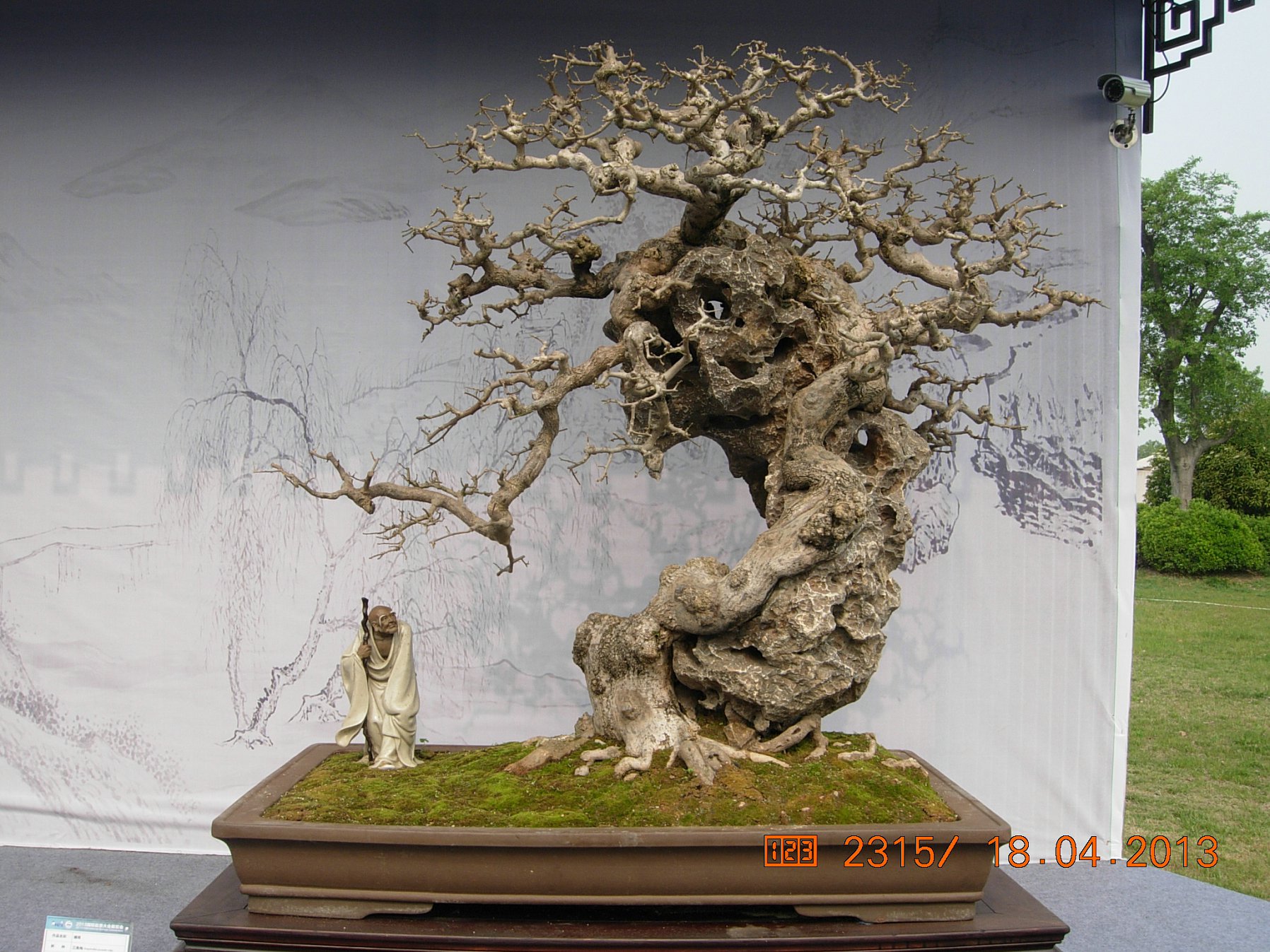 DSCN6699.JPG